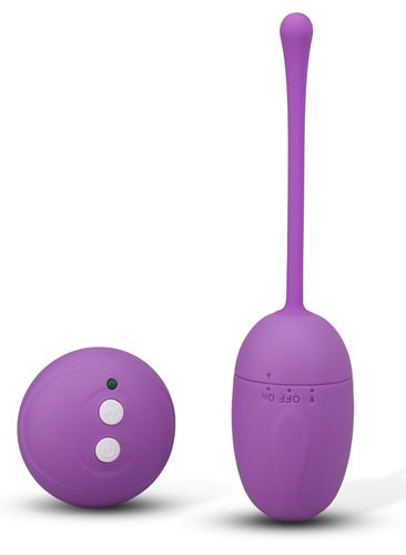 Remote Control Egg Purple