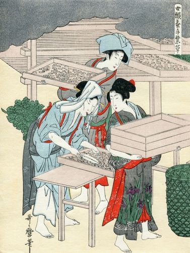 Utamaro Kitagawa, Bild Nr. 04: Rühren der Seidenraupen