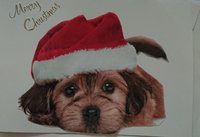 Weihnachtskarten selbst gebastelte und Fotokarten