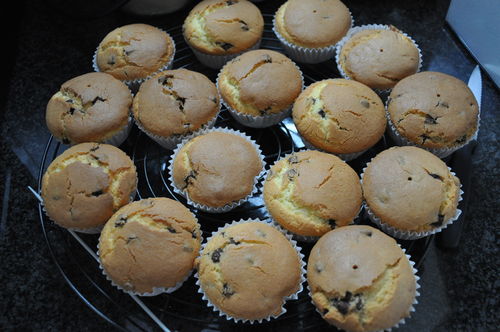 Schokoladen Muffins  hell mit Schokostücke 1/ 6 Stück