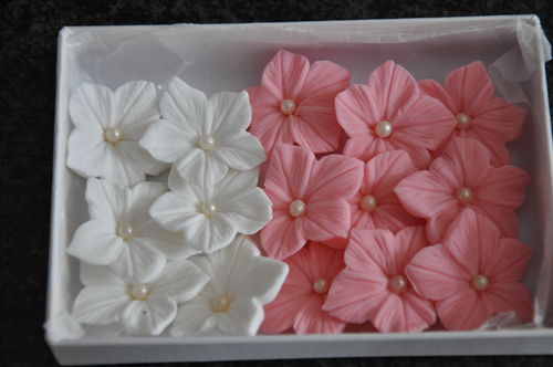 Zuckerblumen Dekor  Petunie Hand Made 100% Glutenfrei und Vegan weis & pink 15 Stück in einer Box