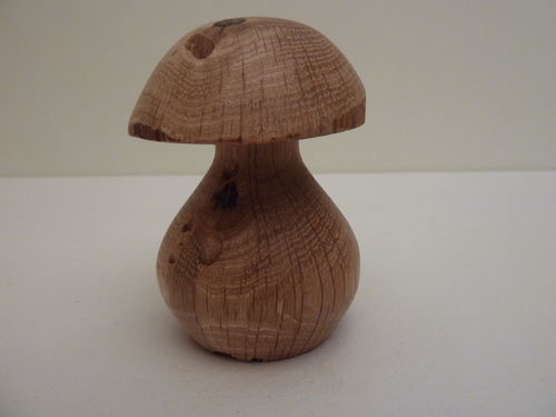 Pilz aus Eichenholz