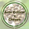 Auto Critical x Auto Cheese