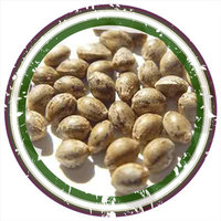 Seeds per unit
