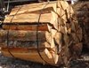 Buchenholz 1-Meter Spälten, waldfrisch