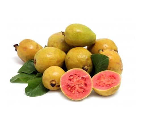 Aroma Flavourart Guave Geschmack
