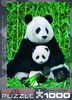 Eurographics - Panda und Baby - 1000 Teile