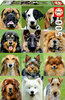 Educa - Dogs Collage - 500 Teile