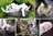 Trefl - Collage - Die Katzen - 1500 Teile