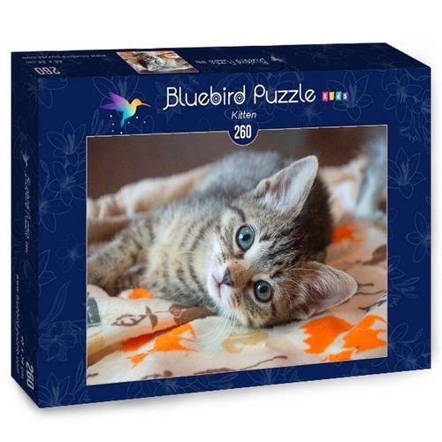 Bluebird Kids - Kitten - 260 Teile