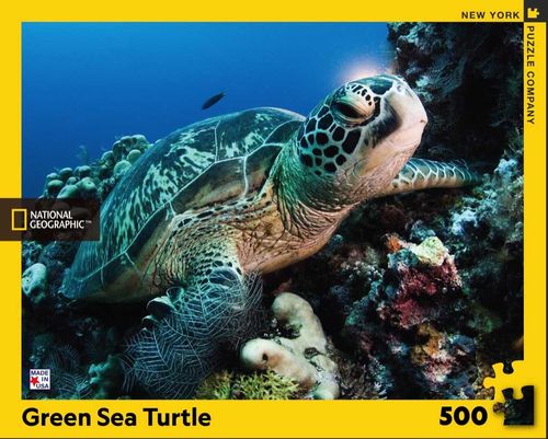 New York Puzzle Company - Green Sea Turtle - 500 XXL-Teile