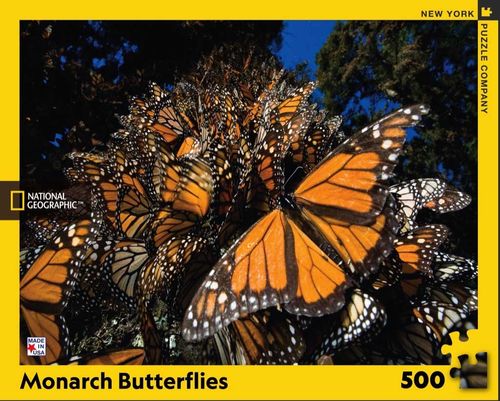 New York Puzzle Company - Monarch Butterflies - 500 XXL-Teile