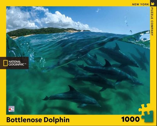New York Puzzle Company - Bottlenose Dolphin - 1000 Teile