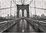 Dino - Brooklyn Bridge, New York, USA - 1000 Teile
