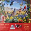 SunsOut - Texas Birds - 1000 Teile