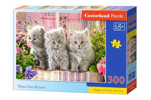 Castorland - Three grey Kittens - 300 Teile