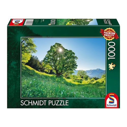 Schmidt - Berg-Ahorn im Sonnenlicht, St. Gallen - 1000 Teile