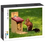 Grafika Kids - Eichhörnchen - 204 Teile