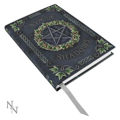 Embossed Pentagram A5 Book of Shadows Ivy Journal 17cm